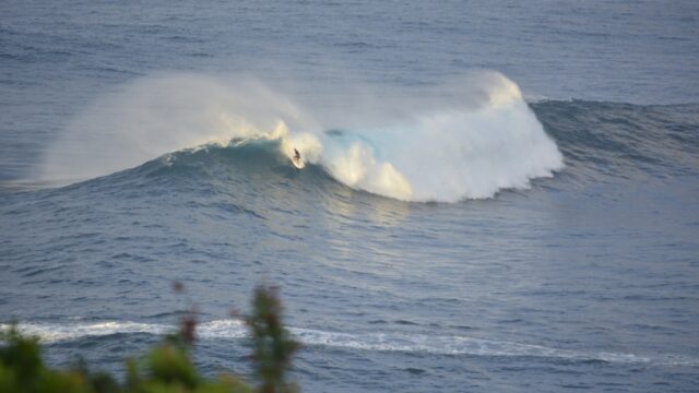 sam taking off jaws