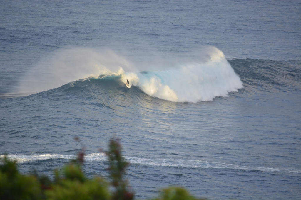 sam taking off jaws