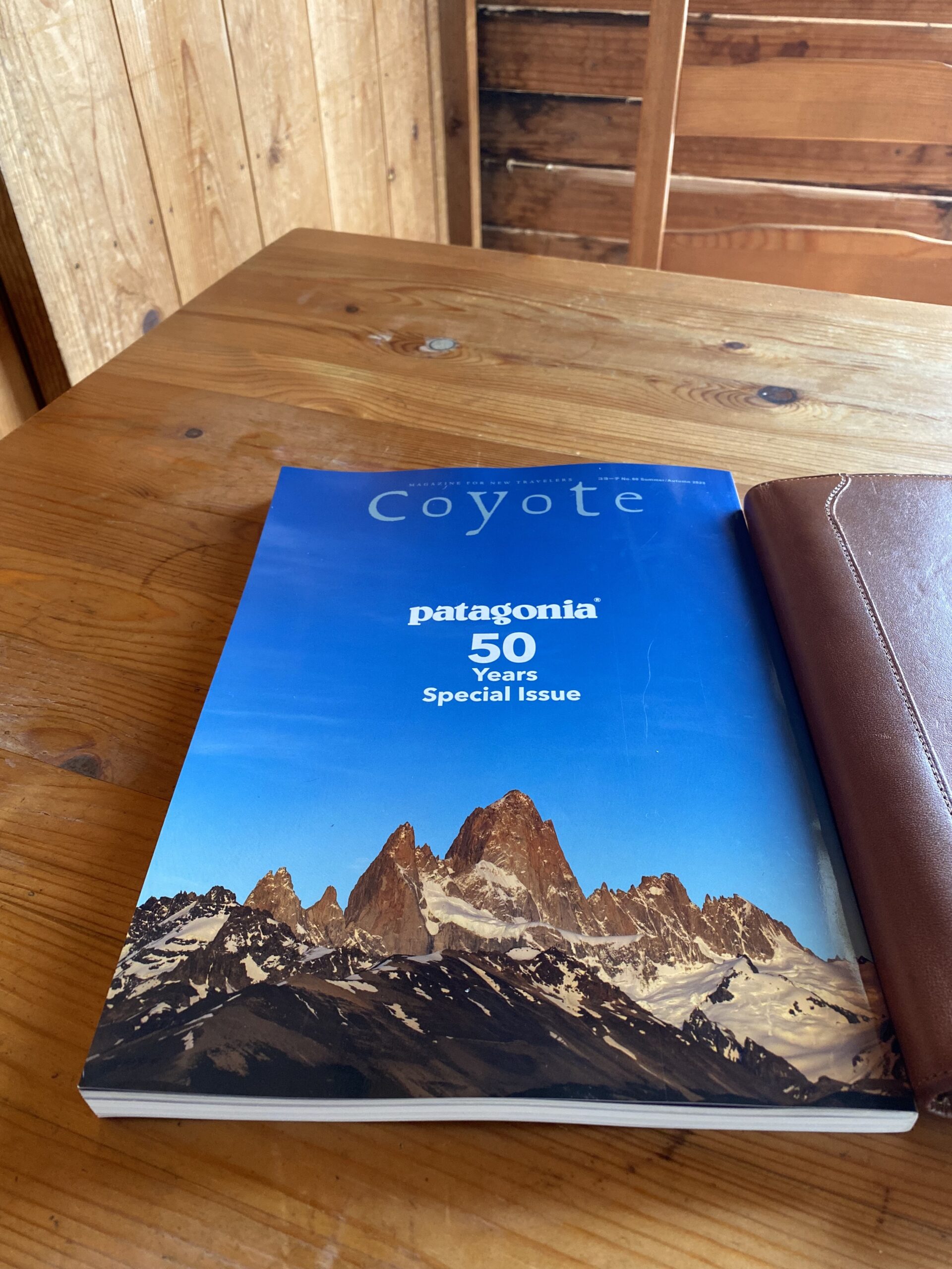coyote - Haniwaoutdoordesign